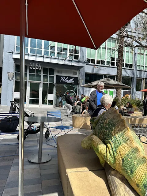 Palmetto Superfoods - Santana Row