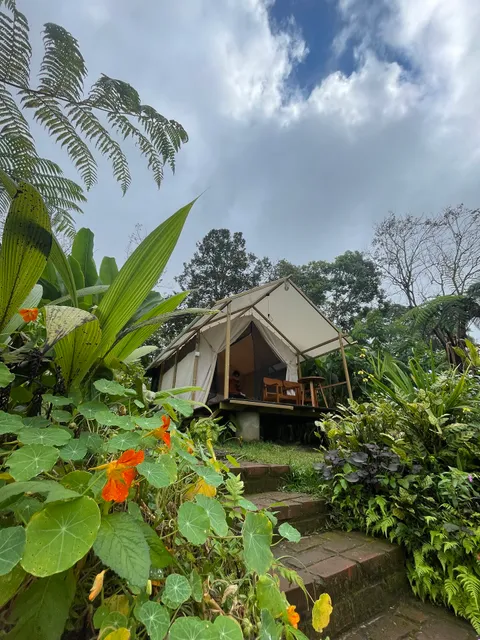 Green Lava Glamping Bedugul