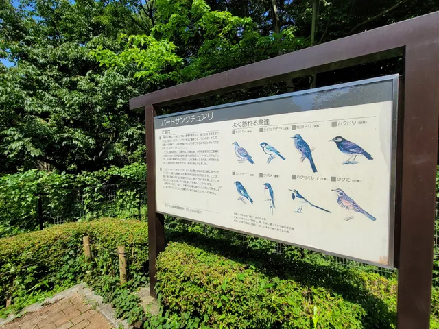 Bird Sanctuary