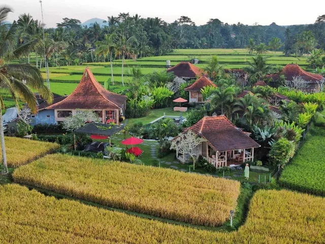 Villa Bali sawah indah