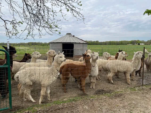 Bernard Family Farm Open by appointment only