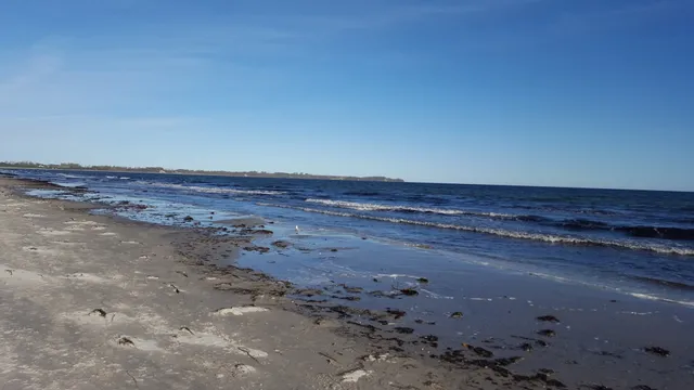 Ferienwohnung Finja 25 in Putgarten