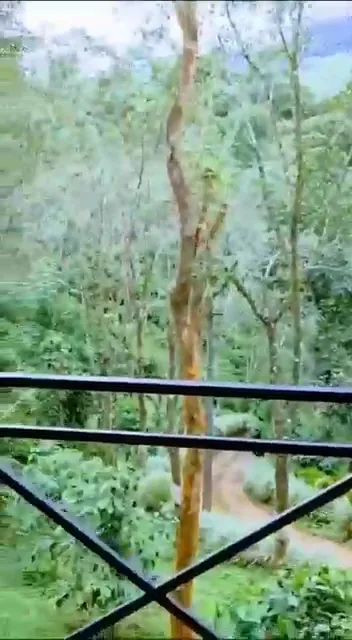 Sorgamed Farm Resort