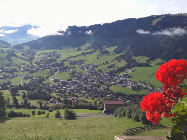 Ferienwohnung Schellhorn