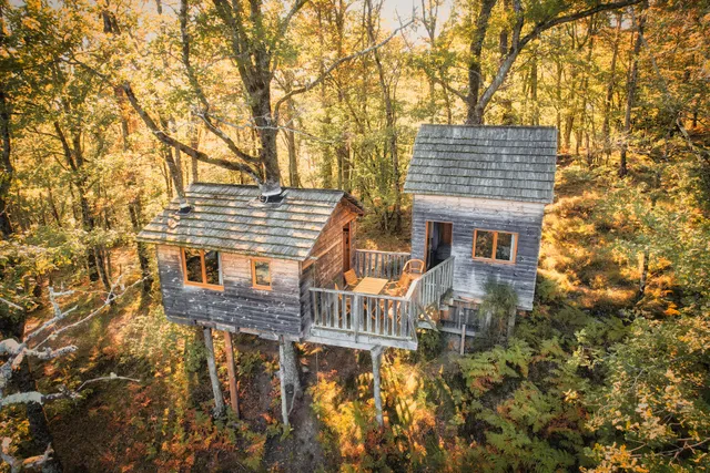 Hêtre sous le Charme