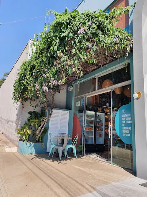 Castanha Baru - Padaria Glúten Free