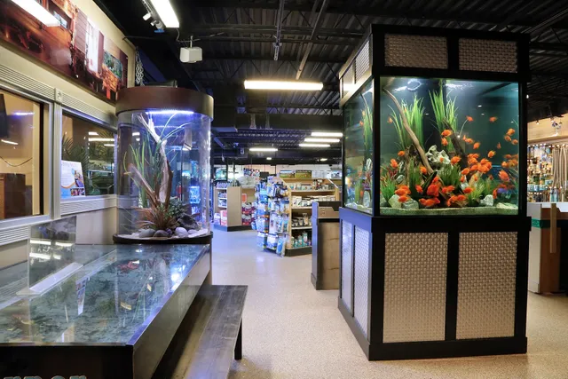 Fish Gallery | Aquarium Superstore