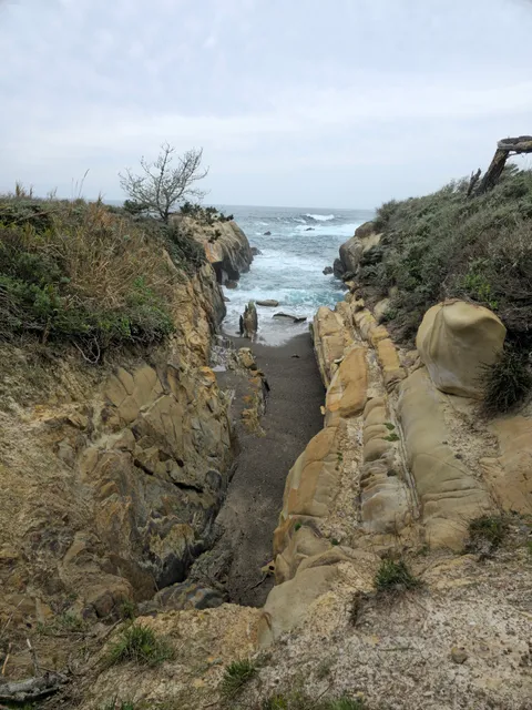 Bird Island Trail Parking lot