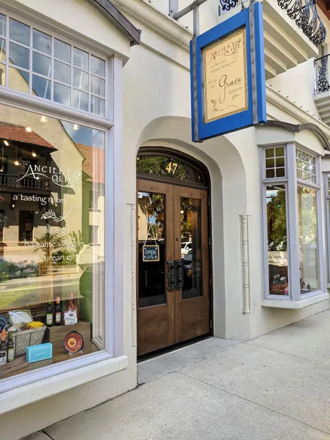 The Ancient Olive of St. Augustine