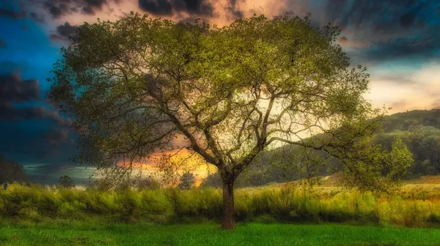 Valley Forge Park Alliance