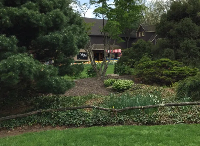 Tempus Cards & Gifts