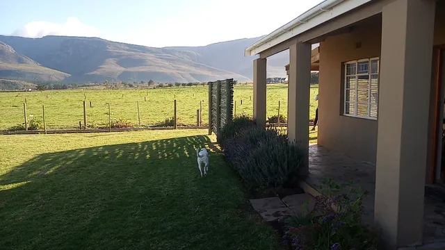 Swallow Creek Cottages