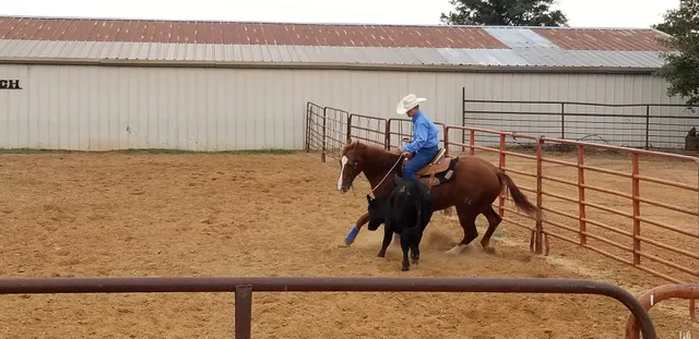 Ralston Training Stables