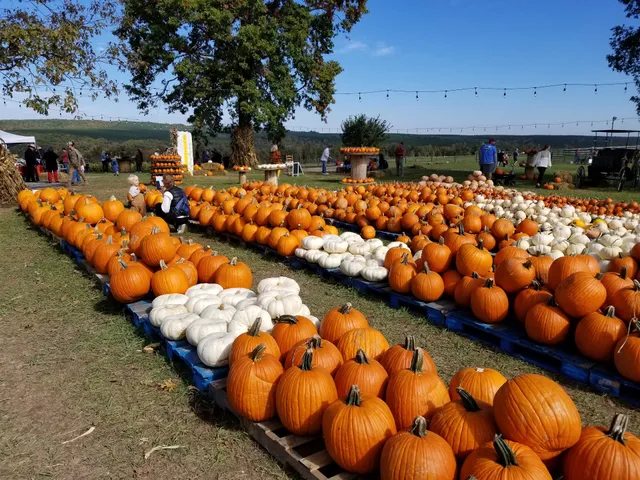 Flat Top Mountain Farm
