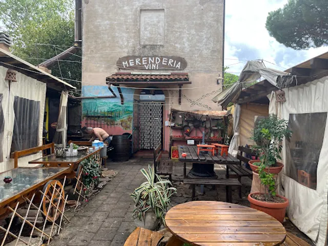 Merenderia Da Paguro