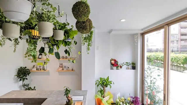 Lull Kyoto CBD Cafe and Store