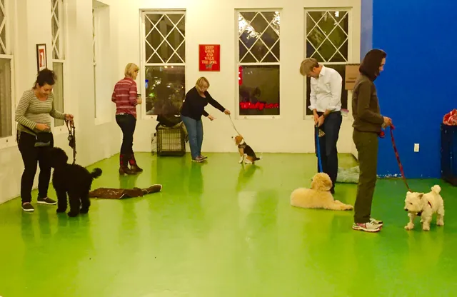 Amanda Gagnon Dog Training