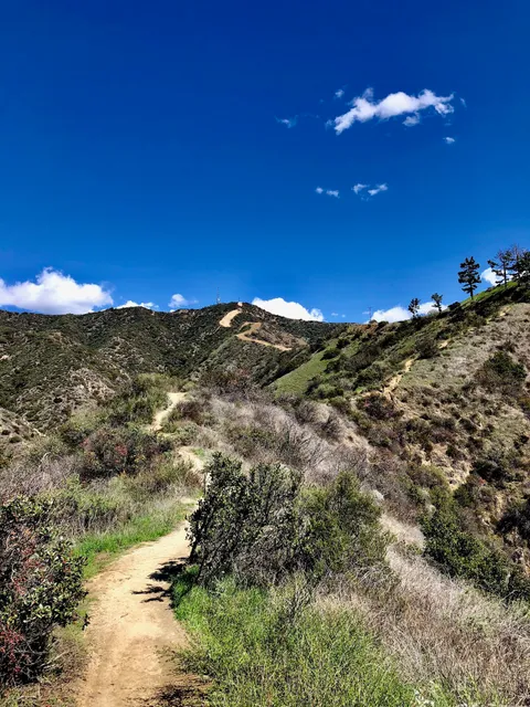 Brand Library Hiking Trail