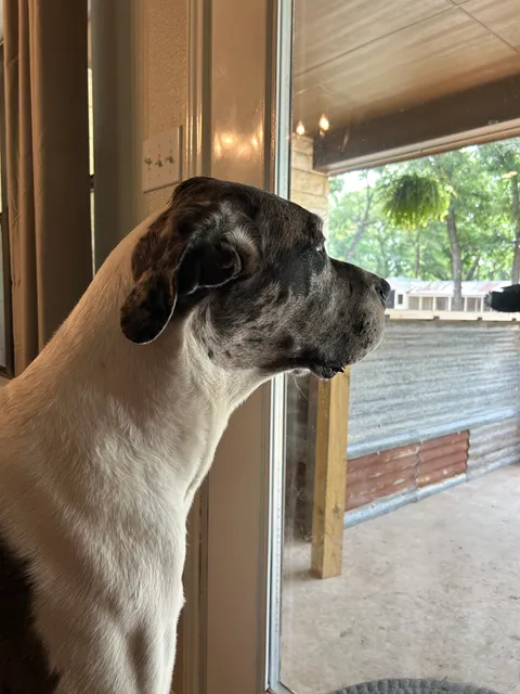 PokeWorld Collectibles