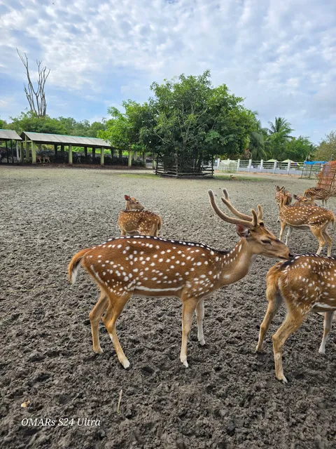 Karamjal Wildlife Breeding Center, Khulna