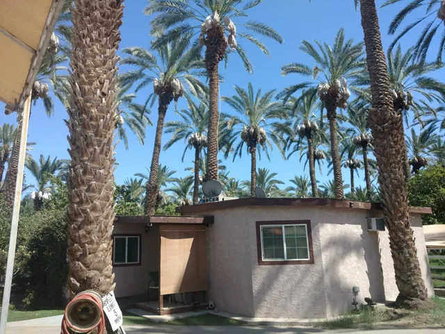 Bautista's Family Organic Dates