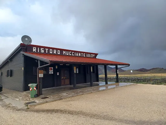 place image