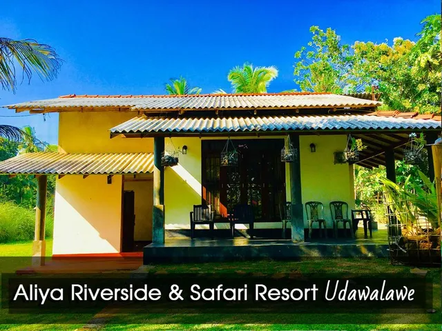 Udawalawe safari