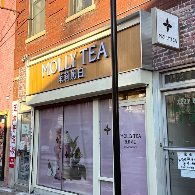 Molly Tea (Chicago)