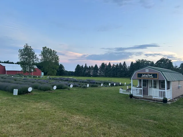 Luckey Road Lavender Farm