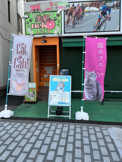 Cat Cafe mikanneko