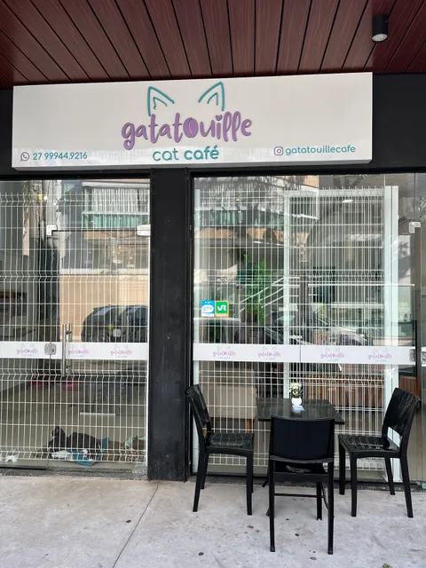 Gatatouille Cat Café