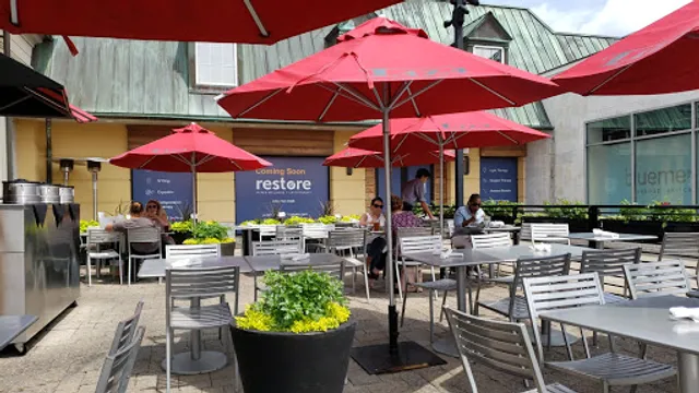 Taza - a Lebanese Grill Woodmere