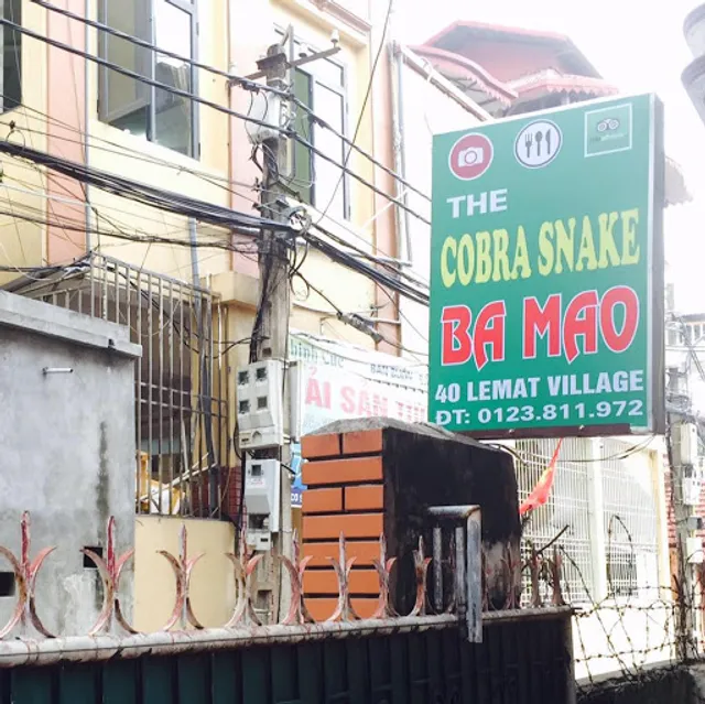 The Cobra Snake Ba Mao