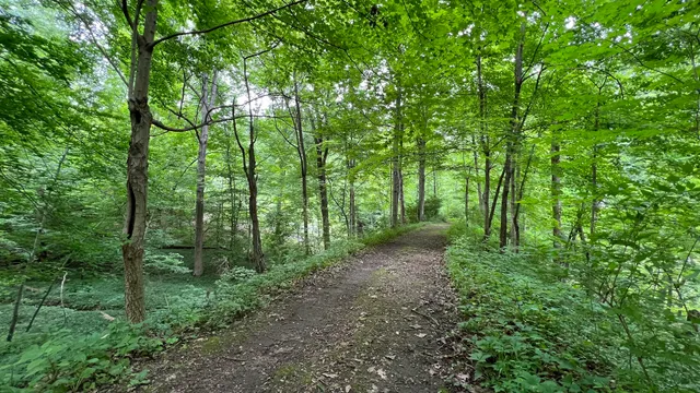 Silver Hills Historical Nature Trail & Wildlife Sanctuary