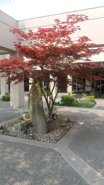 Alaska Airlines - Guest CARE