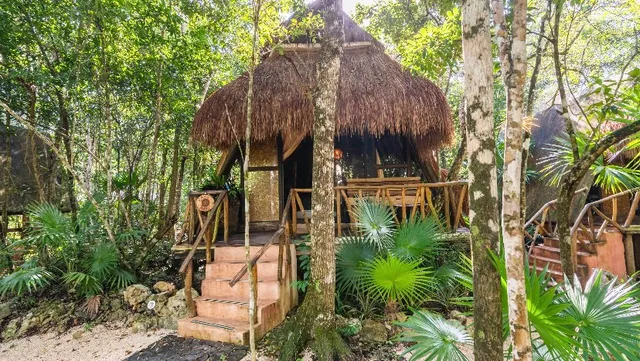 San Carlos Jungle Lodge