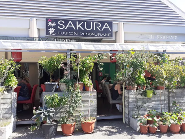 Sakura Fusion Restaurant