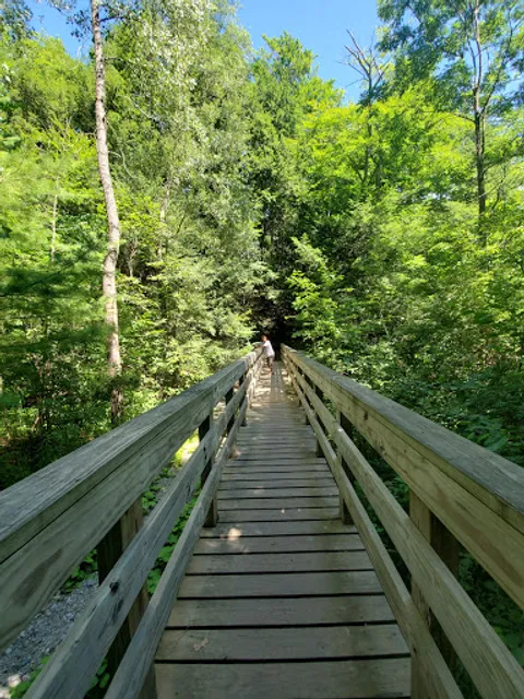 Sucker Brook Hollow Trail