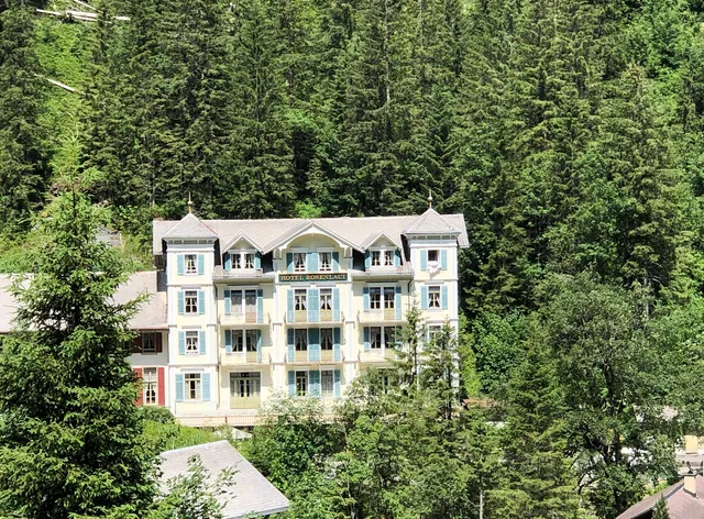 Hotel Rosenlaui