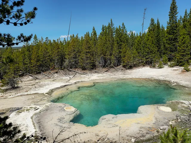 Norris Geyser Basin