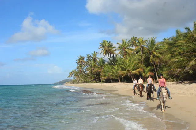 Esperanza Riding Company