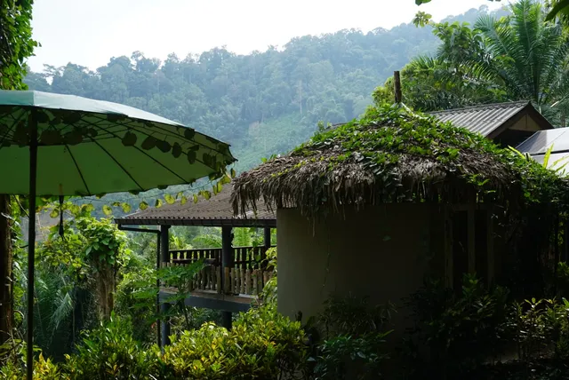 อีโค่ โลจิค พะโต๊ะ | Eco-Logic Thailand