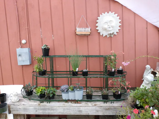 Smedberg's Crystal Spring Farm