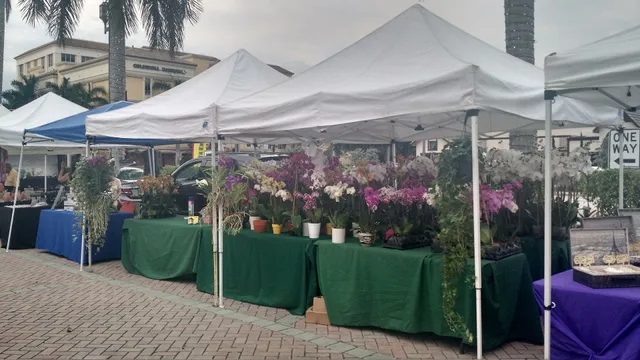 Boca Green Market