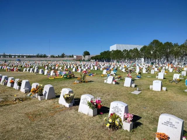 Gayosso | Recinto Guadalupano