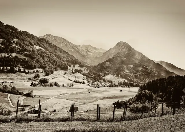 Ferienwohnungen Gästehaus Luise