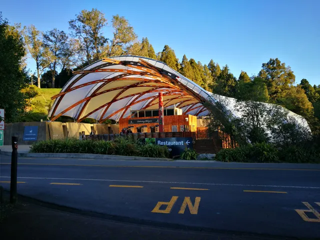 Waitomo Glowworm Caves