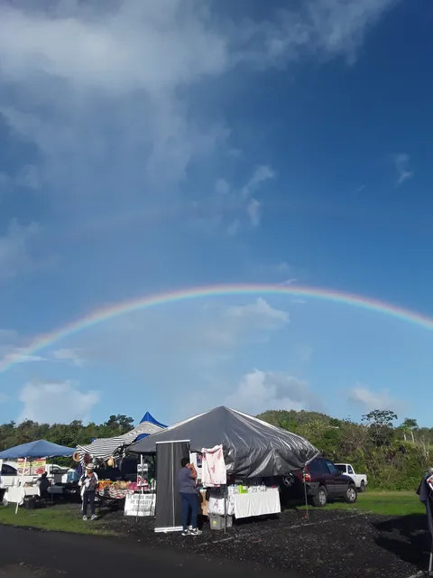 Pulguero San Lorenzo