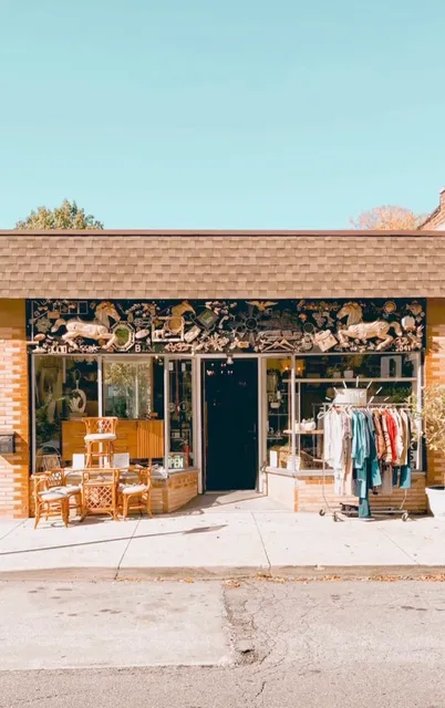 The Little Light Collective