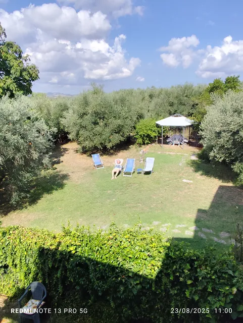 tra gli olivi e la riviera del conero